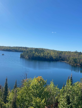 blue lake surrounded by trees