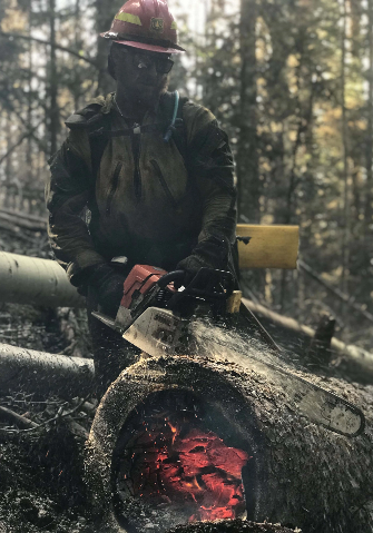 worker cutting a burning tree with a chainsaw