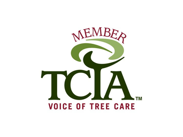 member of the Tree Care Industry Association